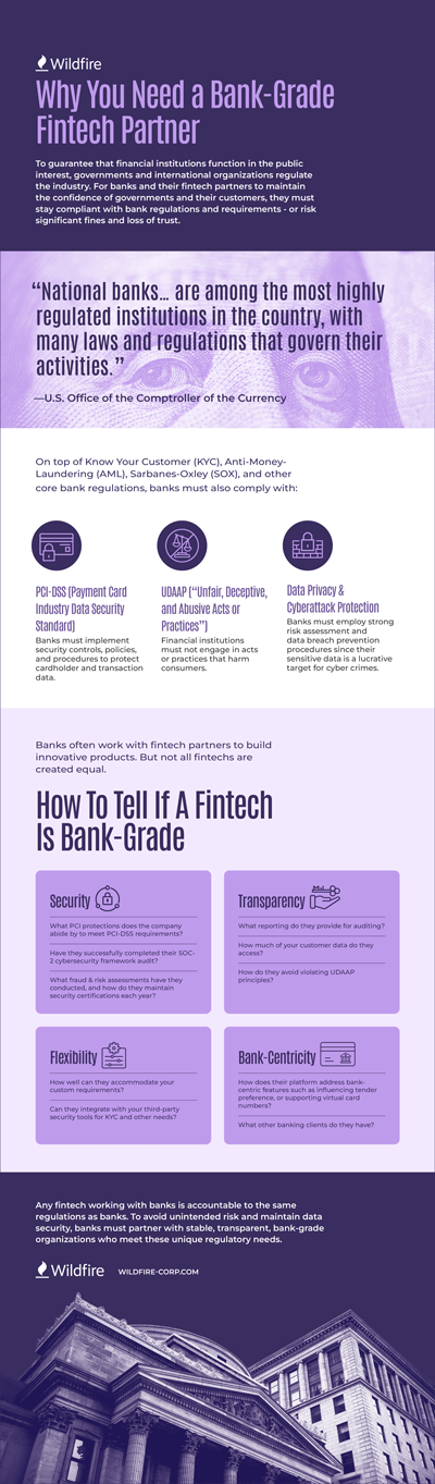 Bank-Grade Fintech Partner Infographic Thumbnail