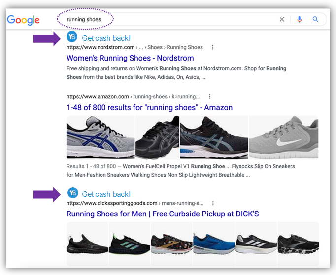 SERP features