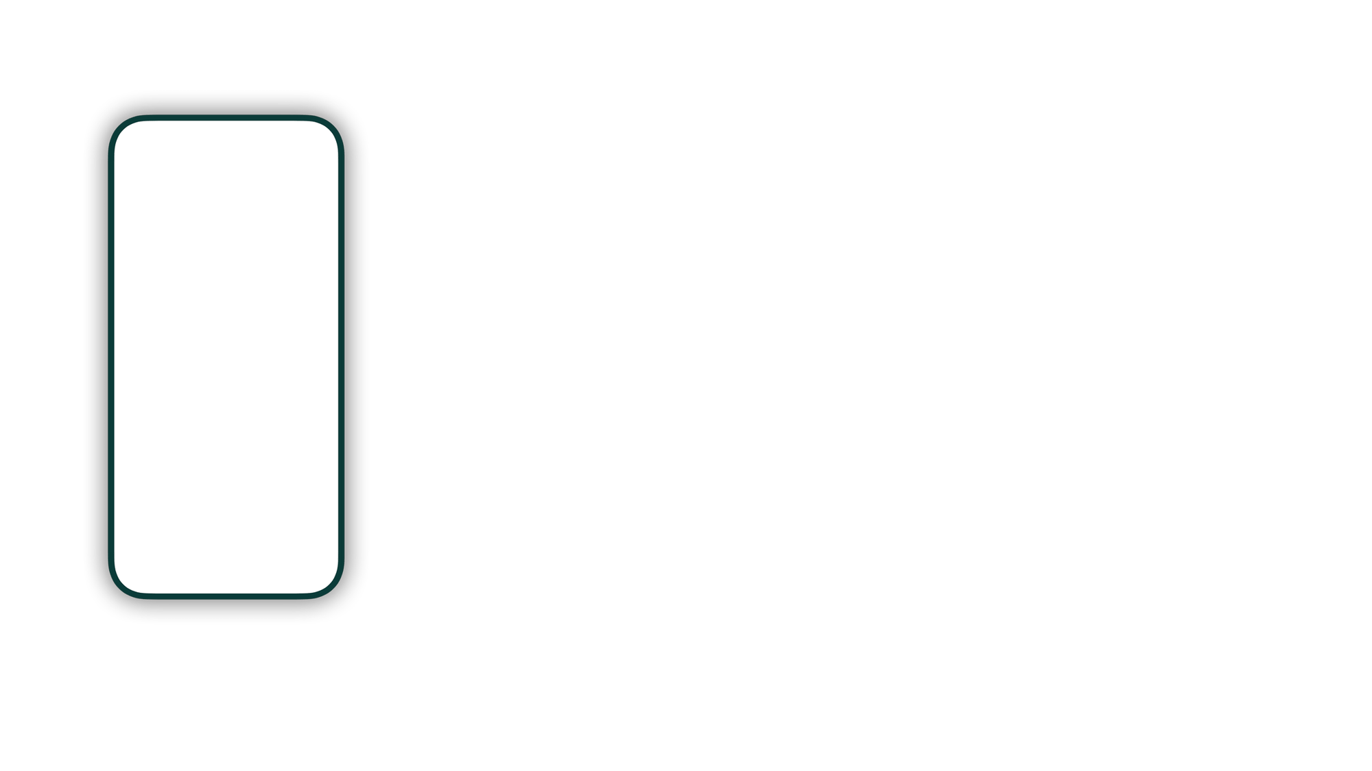 phone blank